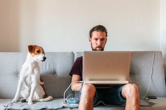 What to Give a Dog that Loves Computers