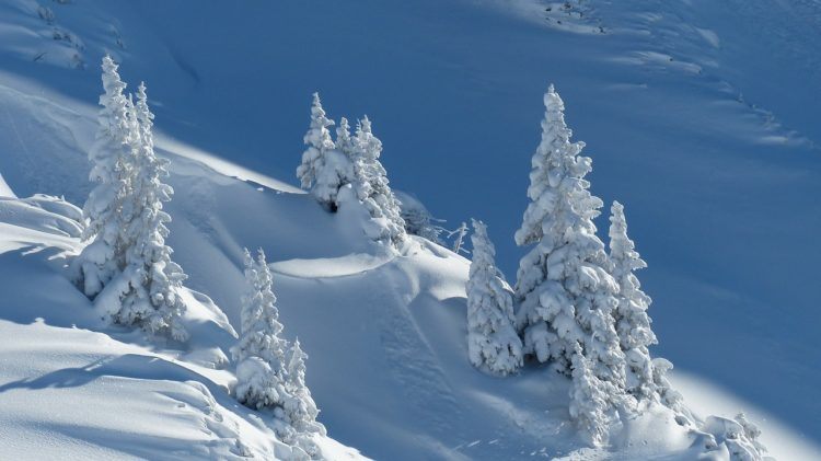 : Exploring Winter Wonderland: Sonora Pass Snow Delights