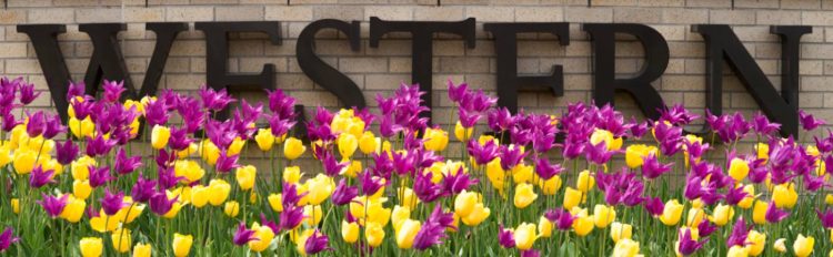 Exploring Excellence: University of Western Illinois